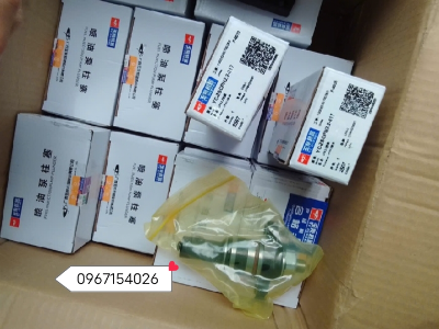 Van piston bơm CP2.2