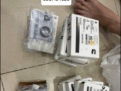Phụ kiện sửa kim phun Cummins QSM11 4903319