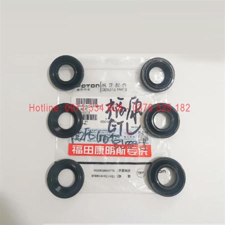 Phớt dầu kim phun Fukang 2.8 5255313 18*36