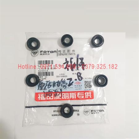 Phớt dầu tấm áp suất kim phun Fukang 2.8 5255314
