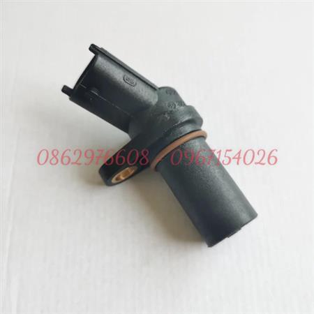 Cảm biến cam cơ mã 315
